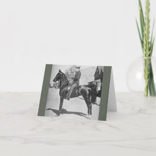 Carte American Saddlebred Horse - Vintage Show Photo