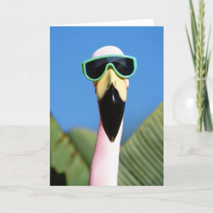 Carte Amérique du Nord, États-Unis, Californie, San Dieg