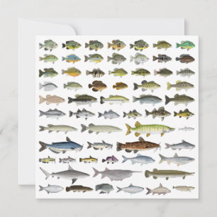Carte Amérique du Nord Groupe de poissons d'eau douce