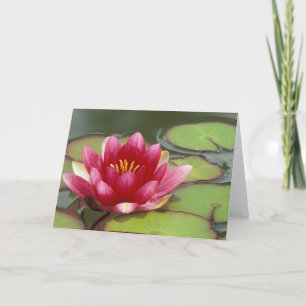 Carte Amérique du Nord, USA, WA, Seattle, Woodland Park