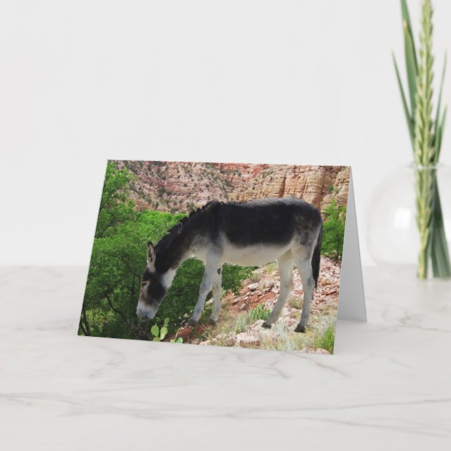 Carte Ami d'esprit animal d'âne - blanc (Devant)