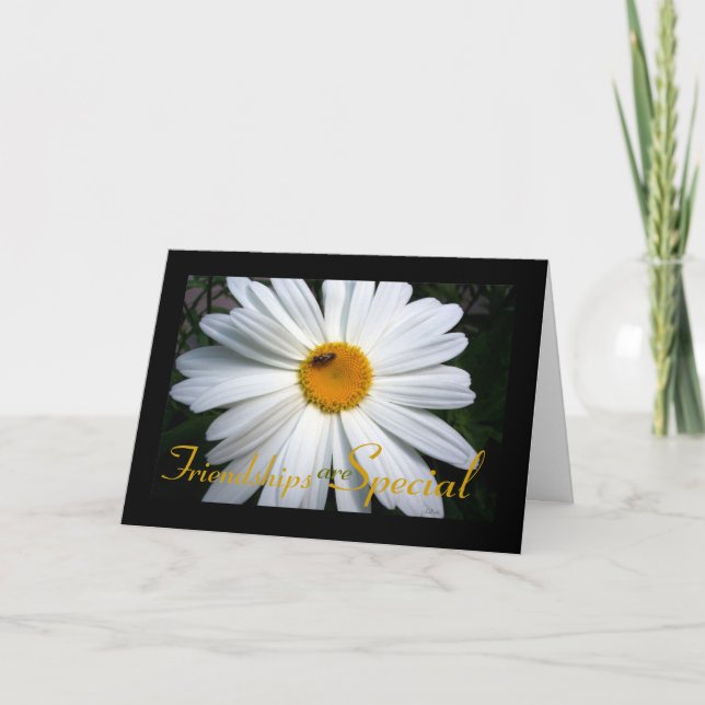 Carte Ami spécial Daisy (Devant)