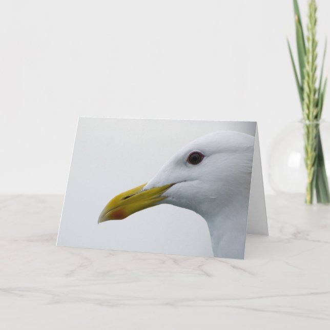 Carte Amical Seagull ? (Devant)