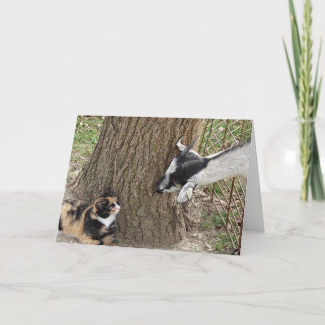 Carte Amis (Devant)