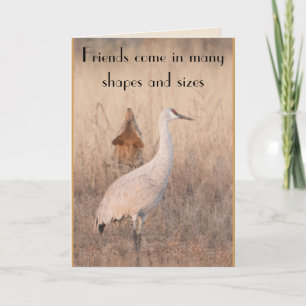 Carte Amis