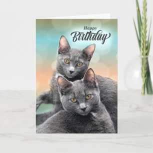 Carte Amis Anniversaire Gris Chats pour l'Amoureux des c