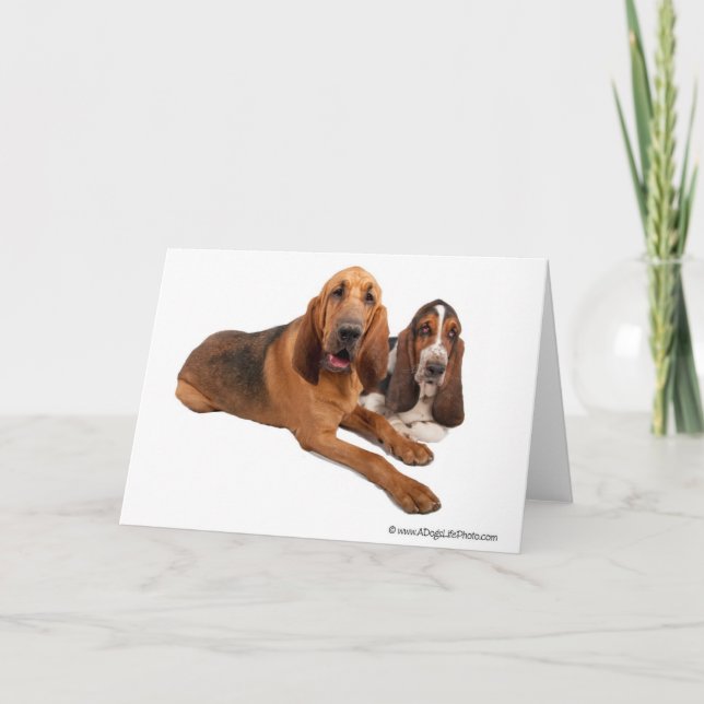 Carte Amis de basset et de limier (Devant)