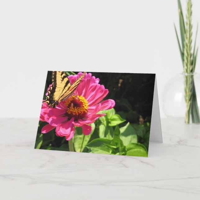 Carte Amis d'été 2 (Devant)