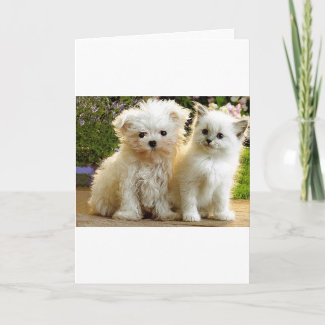 Carte Amis flous (Devant)