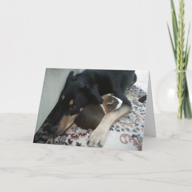 Carte Amis pour toujours (Devant)