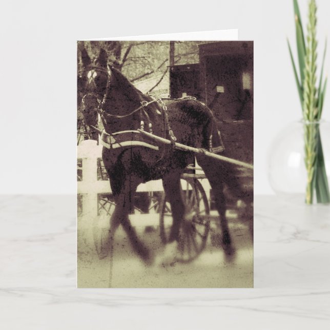Carte Amish Horse et Buggy Rural Iowa Photographie (Devant)