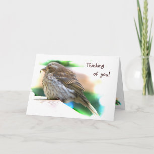 Carte Amitié Baby Finch