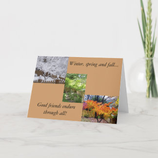 Carte Amitié en toutes les saisons