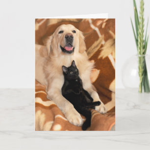 Carte Amitié inconditionnelle Chien et Chat