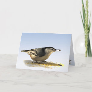 Carte Amitié Nuthatch à poitrine blanche