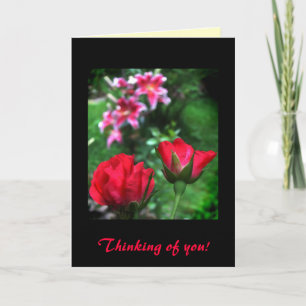 Carte Amitié rose et Lilies
