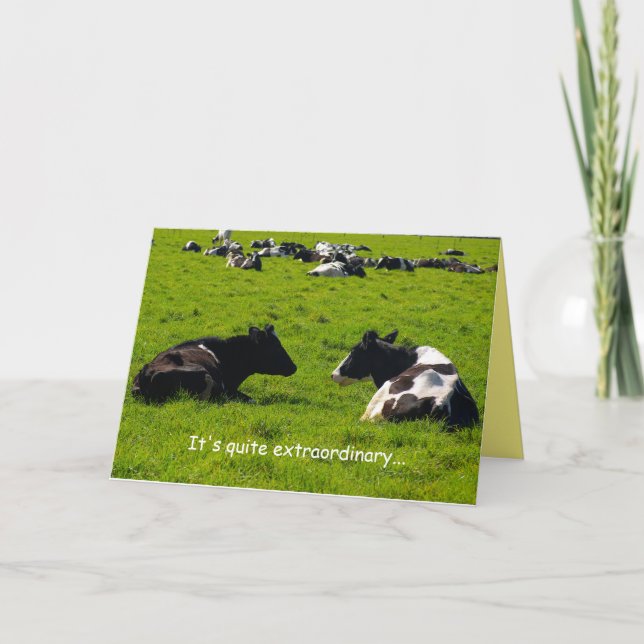 Carte Amitié, scène de campagne, scène agricole, drôle,  (Devant)
