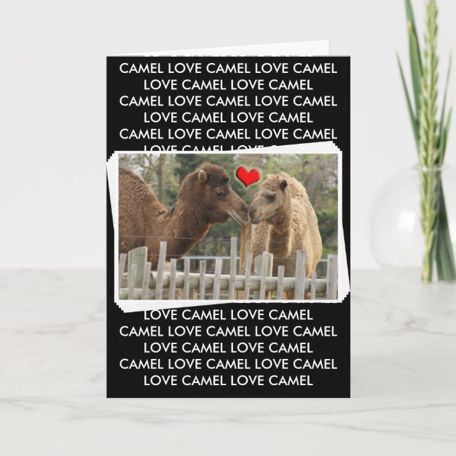 Carte AMOUR de chameau - AUCUNES FRONTIÈRES (Devant)