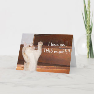 Carte Amour de chat Ktty