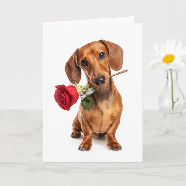 Carte Amour de chiot pour la Saint-Valentin teckel avec  (Petite plante)