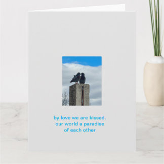 Carte amour pigeon