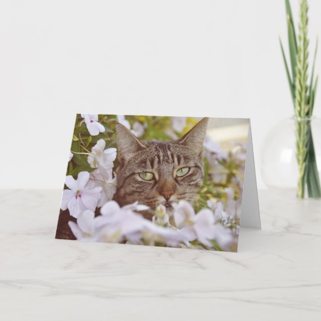 Carte Amoureux des chats moderne adorable Salutation de  (Devant)