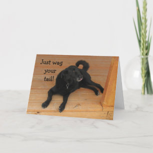 Carte amoureux des chiens Belated Anniversaire