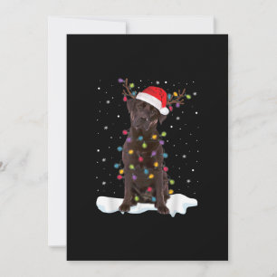 Carte Amoureux des chiens   Chocolat Labrador Retriever 