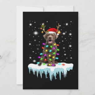 Carte Amoureux des chiens   Lumière de Noël Labrador cho