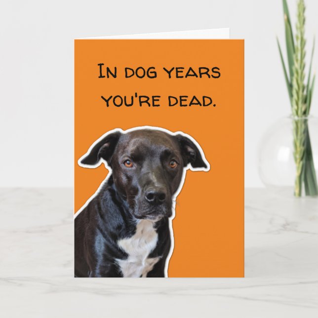 Carte Amoureux du chien drôle Anniversaire - Dans les an (Devant)