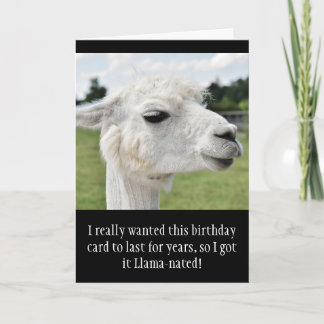 Carte Amusant Alpaca Llama Anniversaire