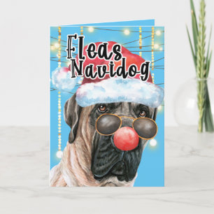 Carte Amusant anglais Mastiff puces de Noël navidog