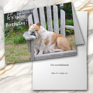 Carte Amusant anniversaire de Bulldog