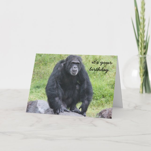 Carte Amusant Anniversaire du Chimpanzé, tu veux un sing (Devant)