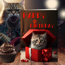 Amusant Crazy Cat Lady Anniversaire