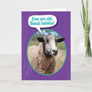 Carte Amusant Ewe Vieux mouton prise Anniversaire