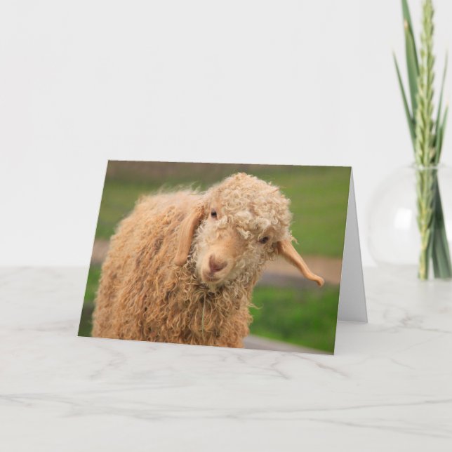 Carte Amusant Fosy Baby Chèvre Anniversaire (Devant)