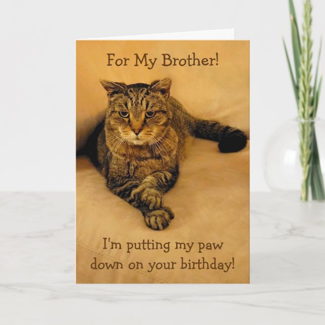 Carte Amusant Frère Chat Anniversaire (Devant)