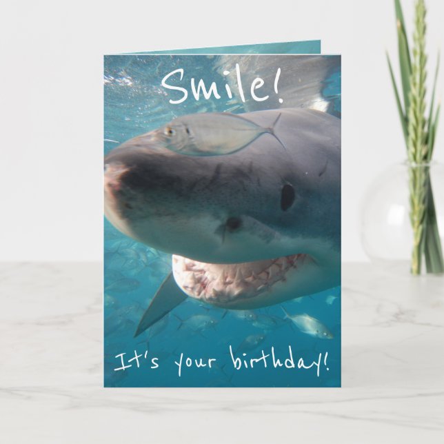 Carte Amusant grand requin blanc anniversaire (Devant)