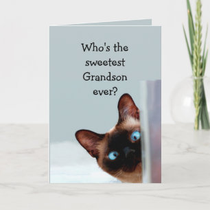 Carte Amusant Grandson Anniversaire Souhaite Chat Siames