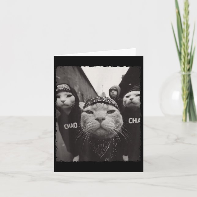 Carte Amusant Graphisme Chat Gangster Funny (Devant)