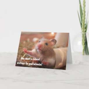 Carte Amusant Hamster Dans La Prison De Cage Bonne Compo