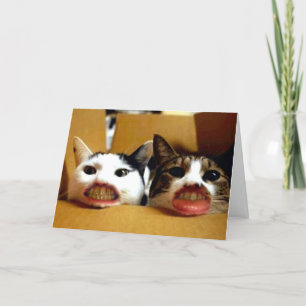 Carte Amusant Joyeux Anniversaire