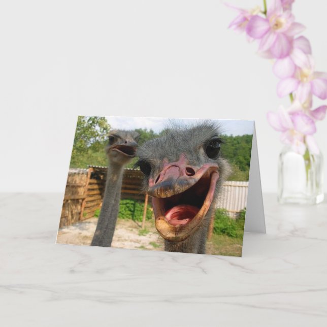 Carte Amusant Ostrich Bird Couple Anniversaire (Orchidée)