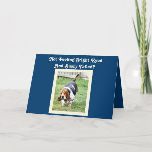 Carte amusante "Get Well" avec Basset Hound & Nap