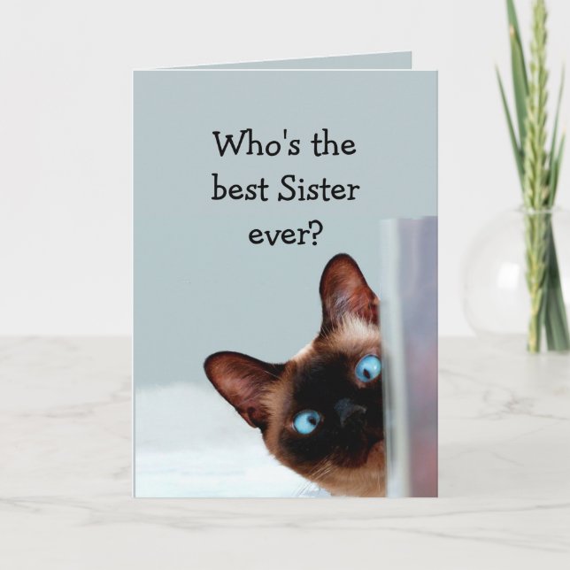 Carte Amusante Soeur Anniversaire Voeux Chat Siamais (Devant)