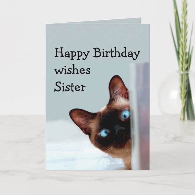 Carte Amusante Soeur Anniversaire Voeux Siamese Chat Ani (Devant)