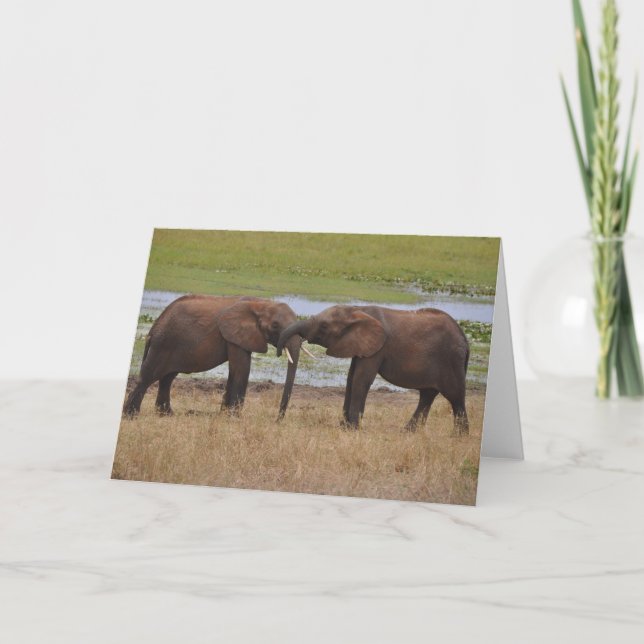 Carte Amusement avec des amis (Devant)