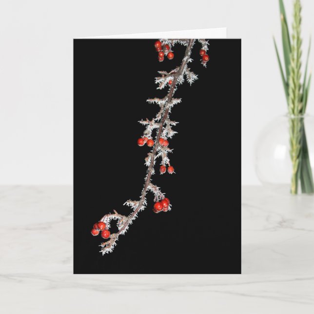 Carte Amusez-Vous Un Petit Noël Berry (Devant)