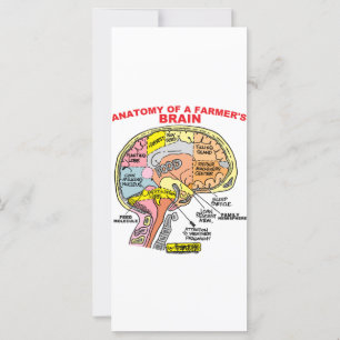 CARTE ANATOMIE DU CERVEAU D'UN AGRICULTEUR